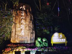 -峨眉山报国寺