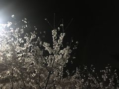 -梅园食堂