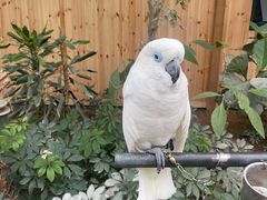 -南宫五洲植物乐园