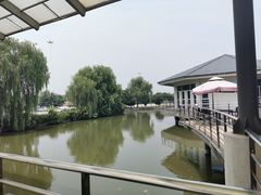 -平望服务区·停车场