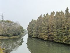 -上海海湾国家森林公园