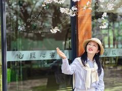 -东湖磨山景区樱花园-停车场