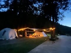 -武陵山森林公园
