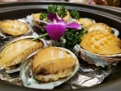 -新世纪大酒楼·30年南海菜