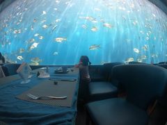 -瑞德姆美人鱼海底演艺主题餐厅(亚龙湾店)