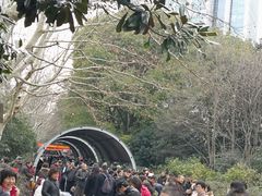 -人民公园-相亲角