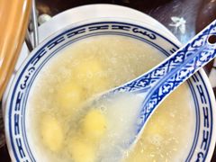 -大中鱼翅 Taitong Shark Fin