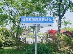 -黄海国家森林公园