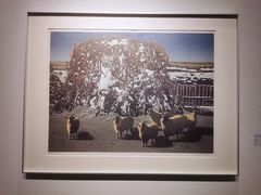 -中国版画博物馆