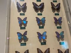 -陕西自然博物馆