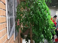-鸽子窝(宋庄店)