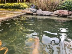 -郑州银基黄帝宫御温泉