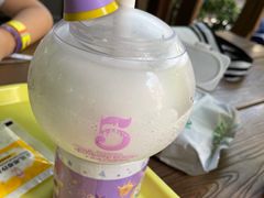 -Tangled Tree Tavern 老藤树食栈