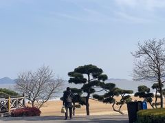 -普陀山风景名胜区-千步大沙