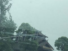 -乐山乌木文化博览苑