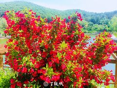 景点-大连北马山庄