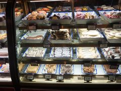 -奥兰多迪士尼动物王国乐园