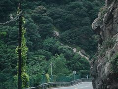 -沣峪口