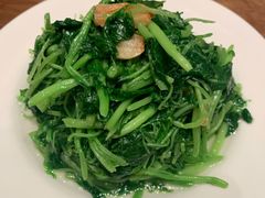 苋菜-鼎泰丰(南西店)