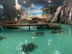 -台州海洋世界