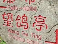 -茅兰沟国家森林公园