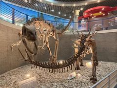 -国家自然博物馆