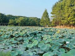-白塘生态植物园