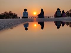 -宝安西湾红树林湿地公园