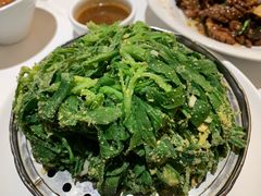 蒸野菜-金春禧(世茂国际广场店)