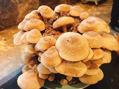 -捞神汤物料理(正大广场店)