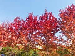 -辽宁大学(崇山校区)