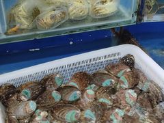 -张树军海鲜(王府壹号店)