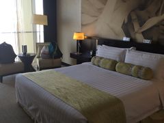 -国家会议中心大酒店