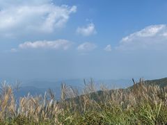 -大围山国家森林公园