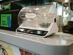 -老乡鸡(寿县三中店)