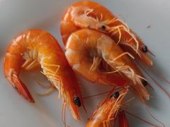 -连理枝渔家乐