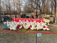 -辛庄国际文化艺术区