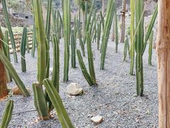 -MOJ coffee(瓯海泽雅水碓坑店)