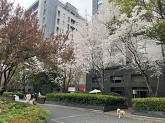 -合生国贸中心