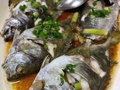 清蒸泥猛鱼-金麒麟美食城