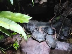 -石家庄市动物园