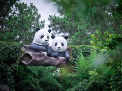 -安吉竹博园