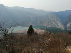 -望湖烤鱼