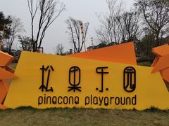 -铁山坪森林公园