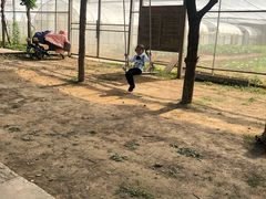 -前小桔亲子创意农场·草莓采摘·露营烧烤