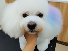 -芭比堂宠物医院·全科爱猫医院·仁德分院