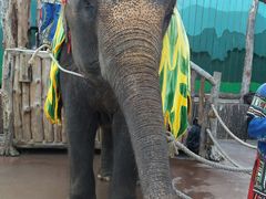 -大连森林动物园