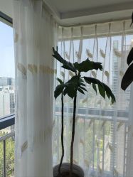 -HEYAN荷妍专业脱毛连锁机构