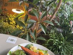 -农畉LONFOOD(万象天地店)