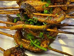 鳝鱼-晓靖轩烧烤(沙河风情店)